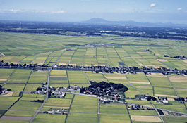 かわち風景